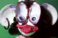 Easter Egg from 2008